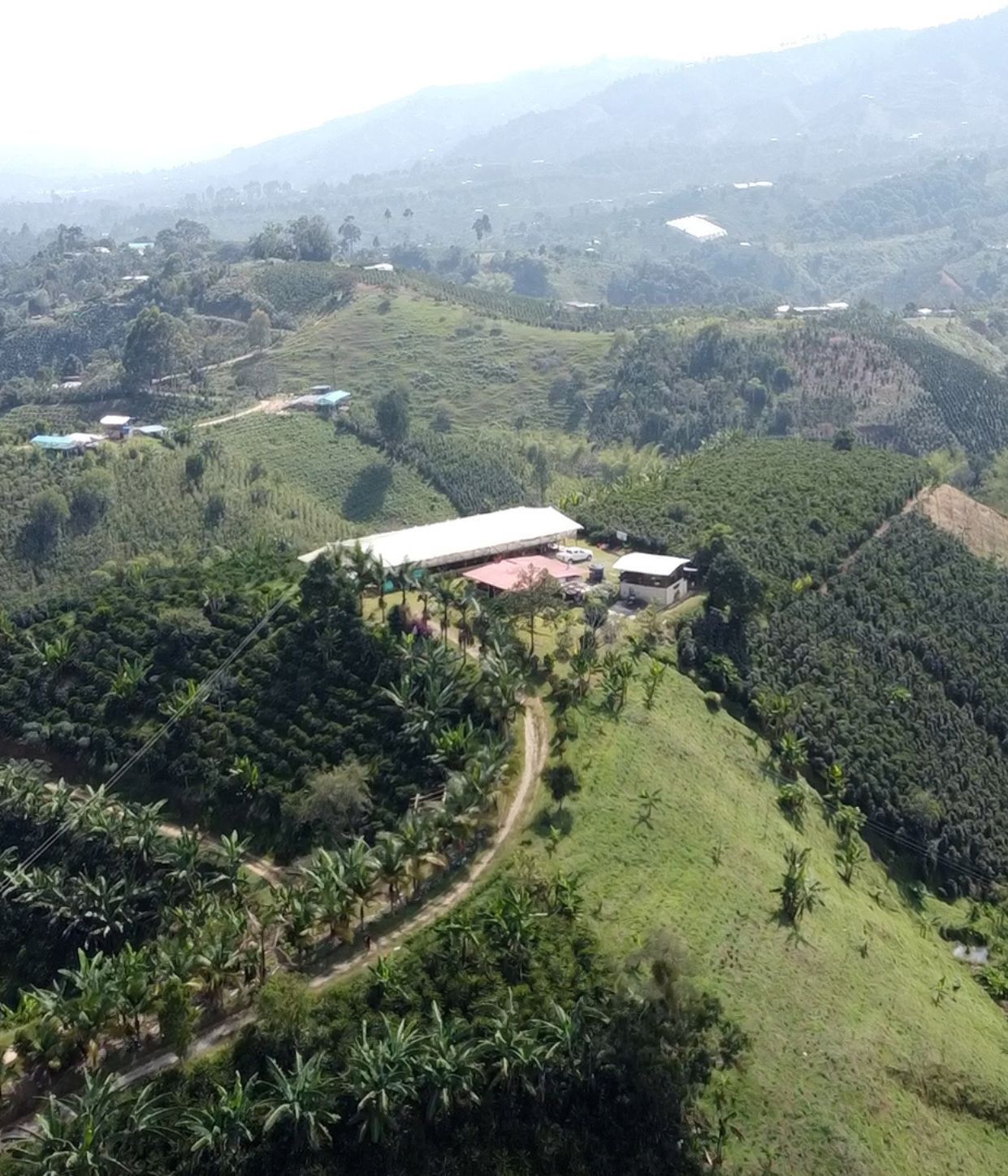 farma w kolumbii