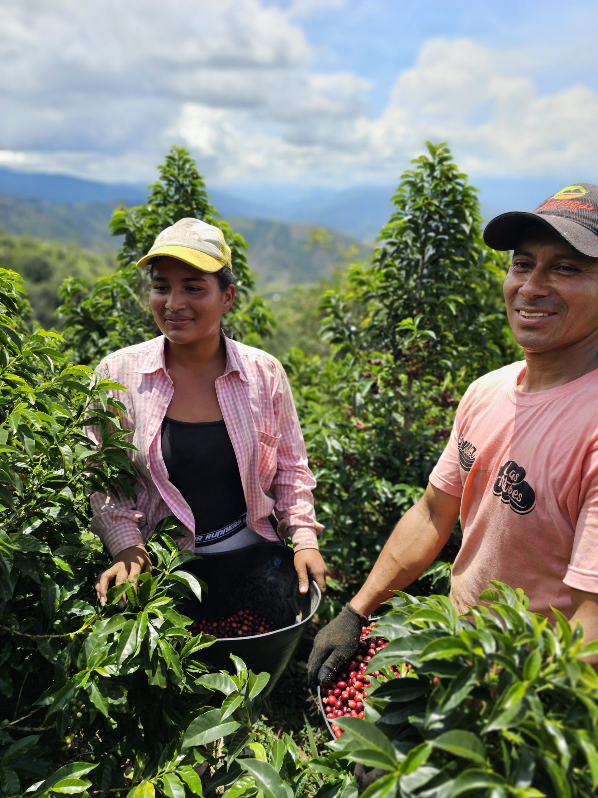 Colombia Huila Finca Monteblanco Rodrigo Sanchez