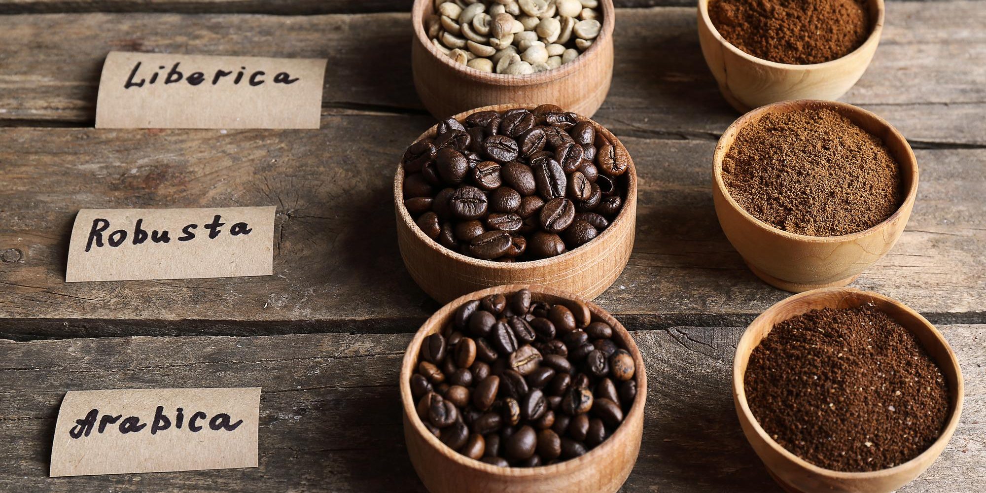 porównanie kaw: arabica i robusta