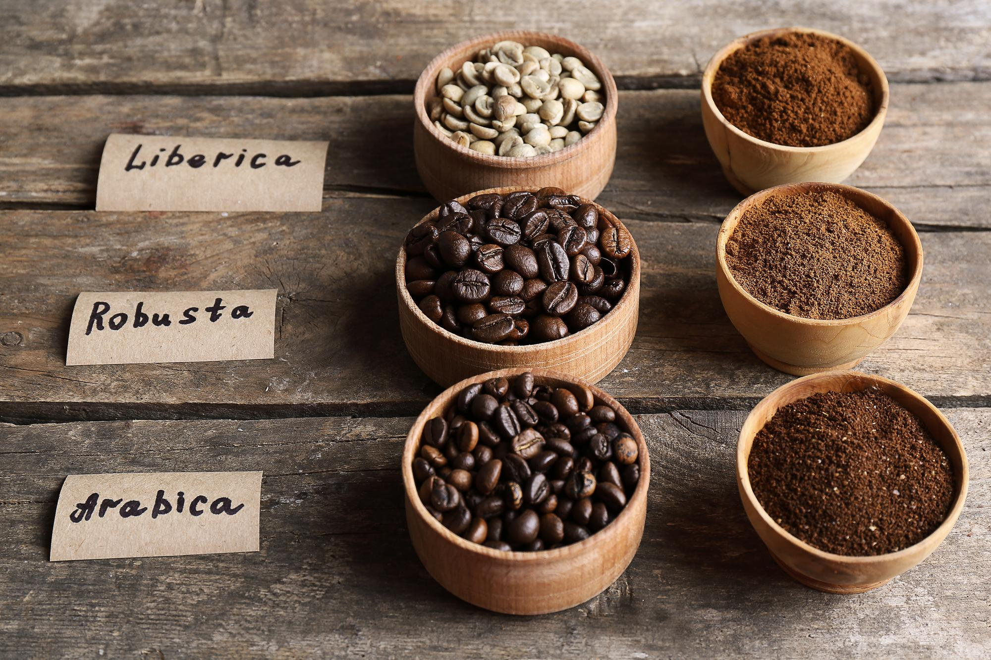 Arabica czy Robusta – którą kawę wybrać?